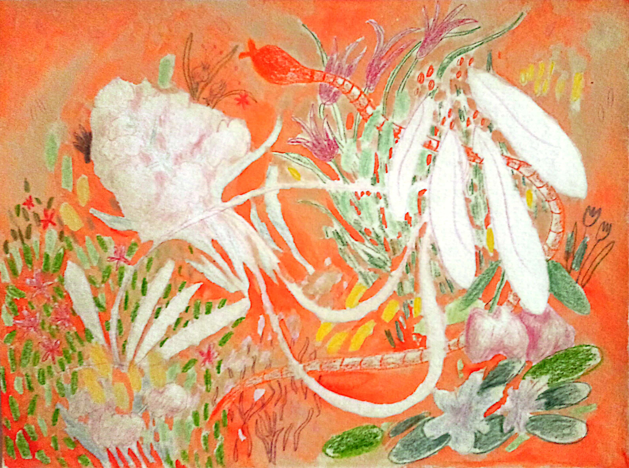 organisms